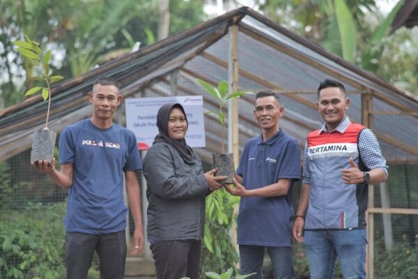 Enam Juta Pohon