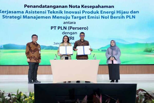 PLN