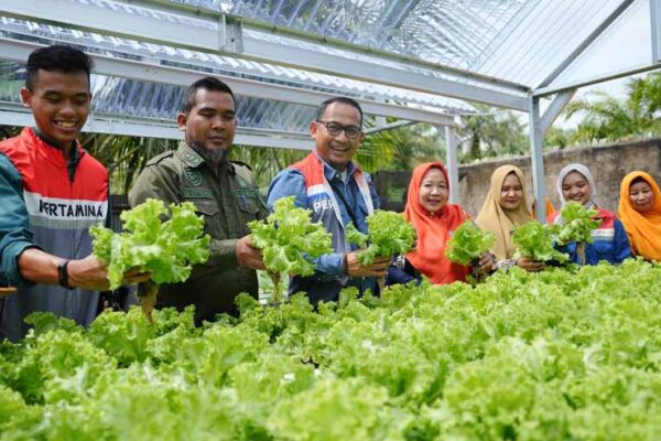Hidroponik Sehati Kota Dumai
