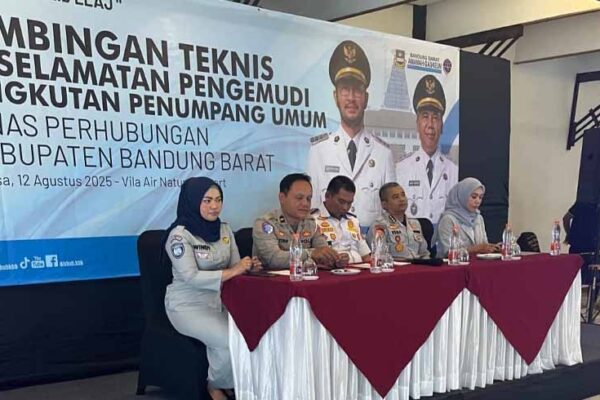 Pengemudi Angkutan Penumpang