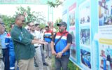 Pertamina
