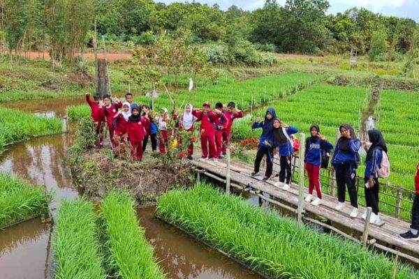 lewat Program PFmuda