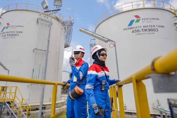Bidang Energi di Asia Tenggara