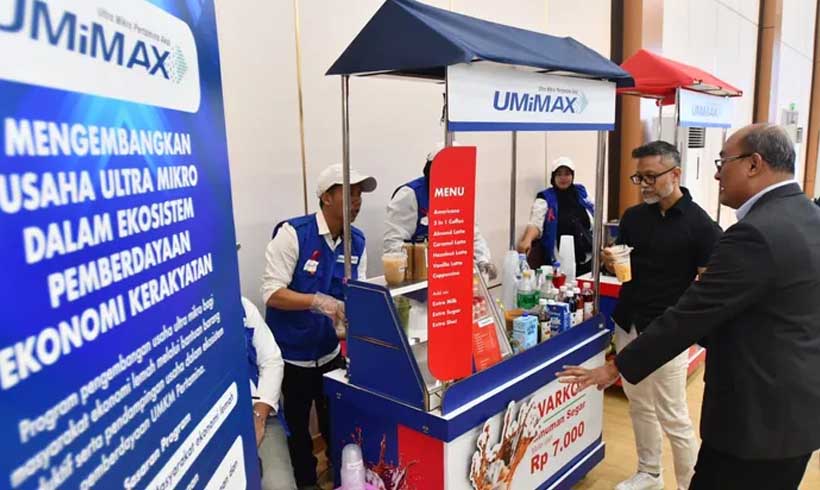 Program Umimax