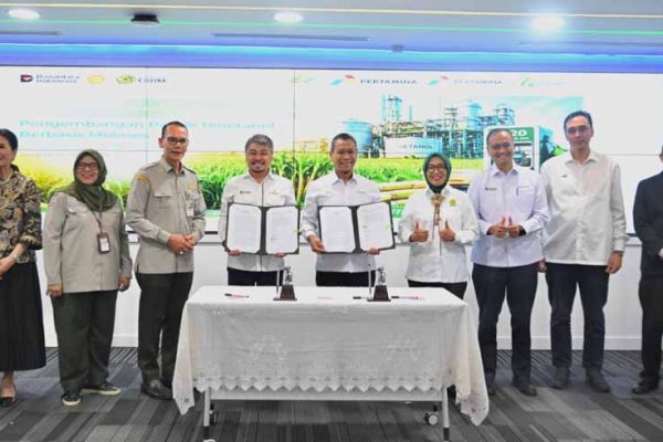 pengembangan bioetanol