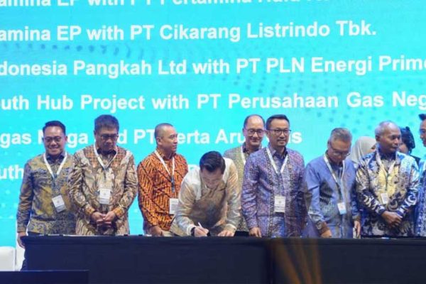 IPA Convex 2026