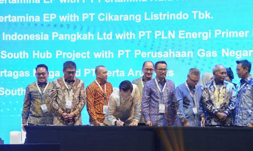 IPA Convex 2026