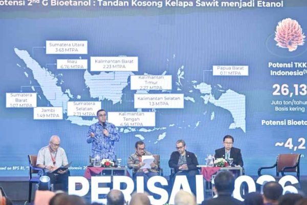 ketahanan energi nasional
