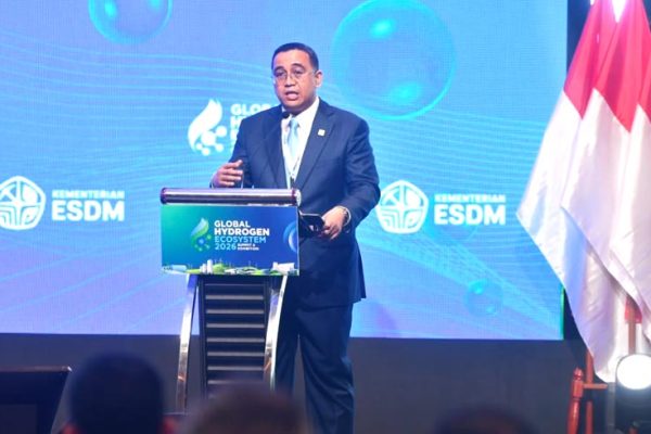pengembangan hidrogen nasional