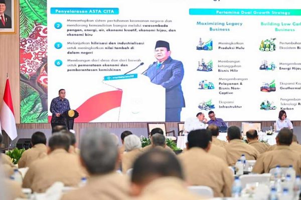 ketahanan energi nasional