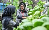 GreenBus Pertamina