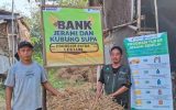 Pertamina Patra Niaga