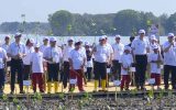 Pesisir Pantura