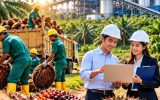 Lowongan Kerja BUMN