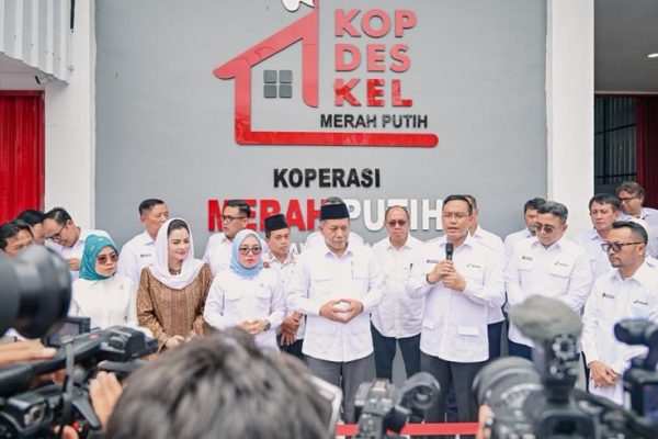 Minyak Jelantah